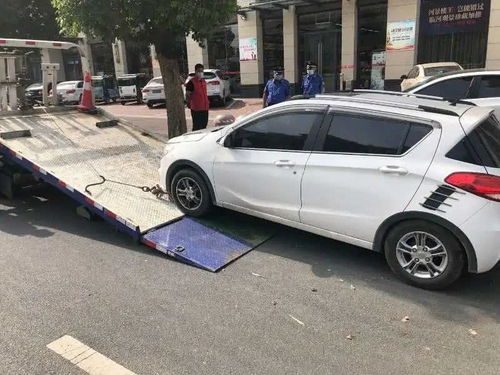 漯河市啟動機動車違停拖移執法，數字化后臺管理系統提升執法效能